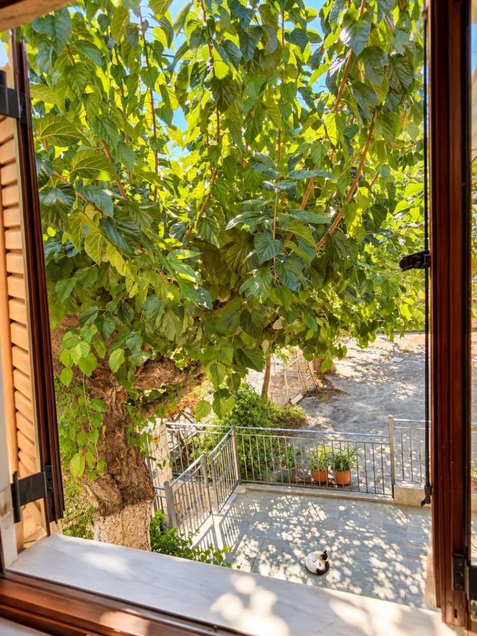 Inner courtyard view