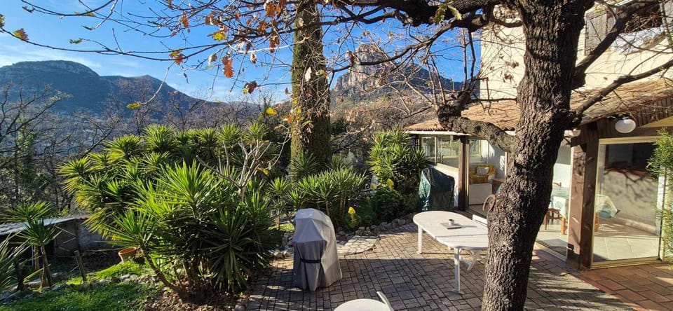 BBQ facilities, Garden