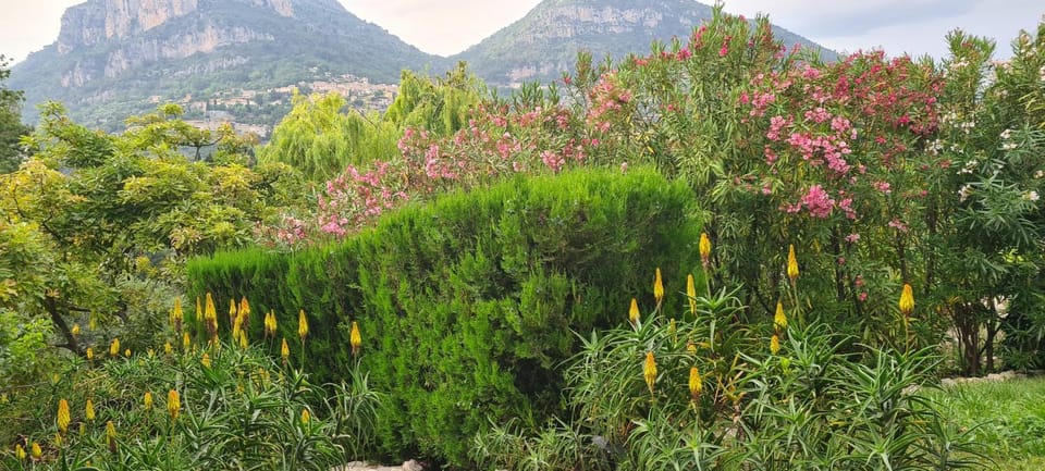 Nearby landmark, Natural landscape, Garden, Garden view, Mountain view