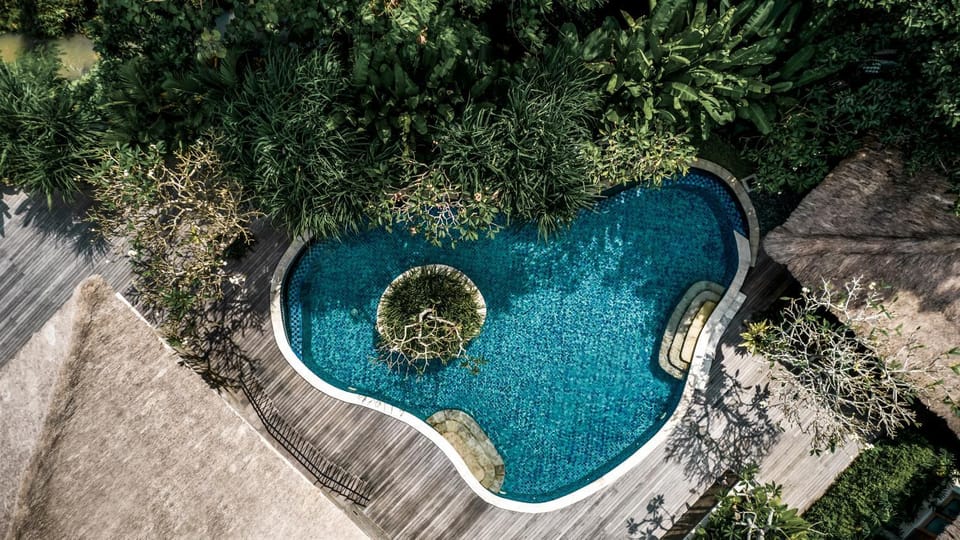 Garden, Garden view, Pool view, Swimming pool