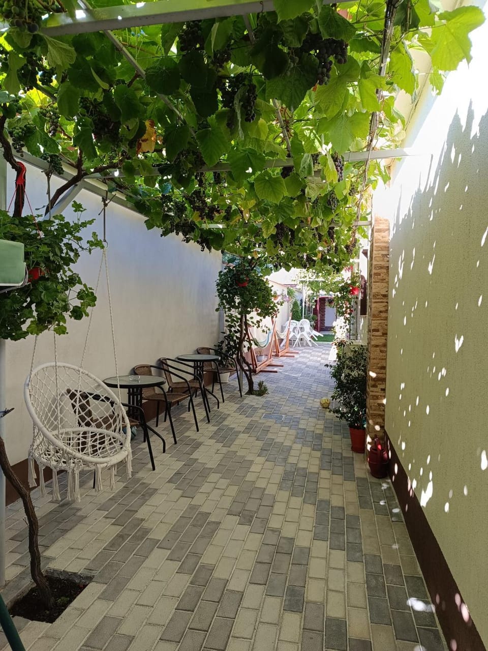 Inner courtyard view