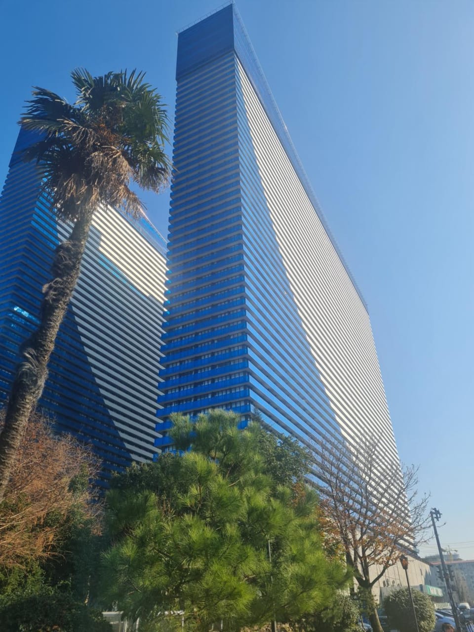 Property building, Day