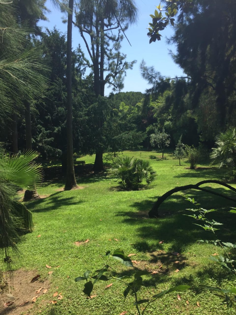 Natural landscape, Garden