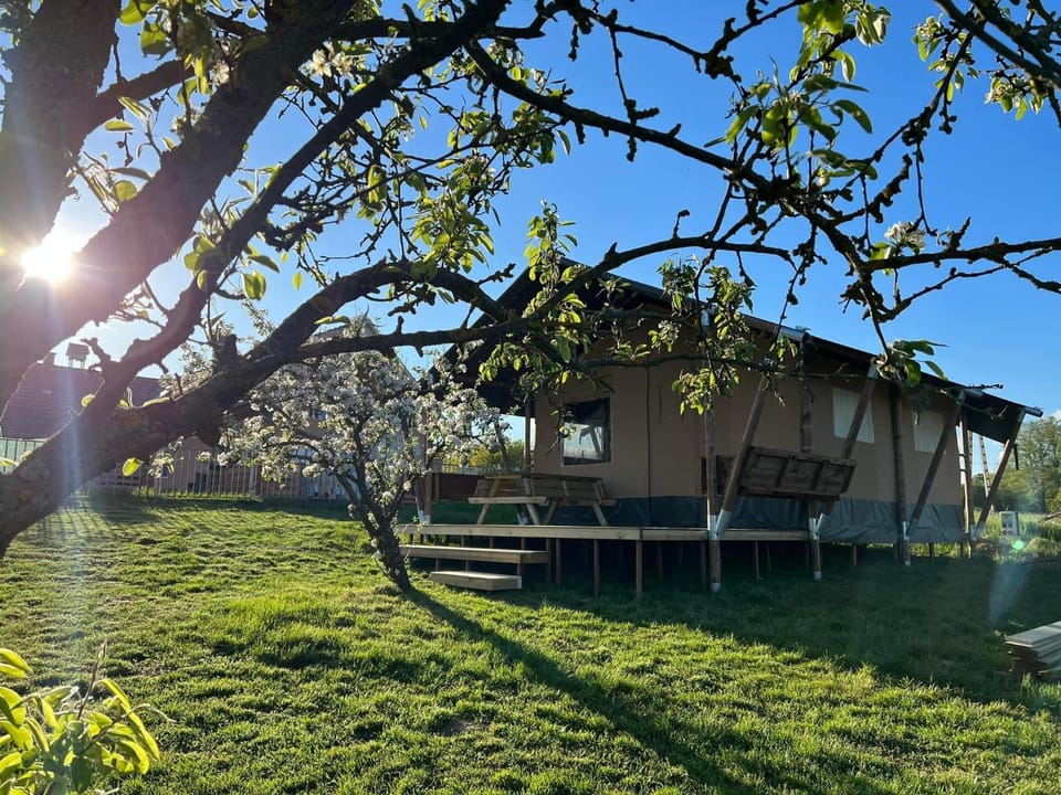 BG Apartments Safaritent Luxury tent in Hungary