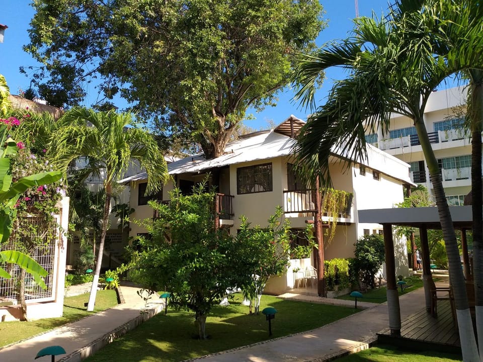 Property building, Garden, Garden view