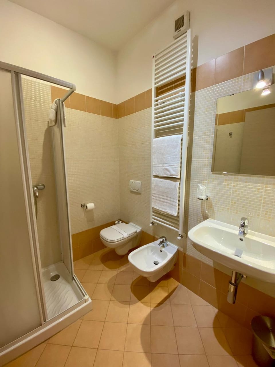 Shower, Toilet, Bathroom, bidet, towels