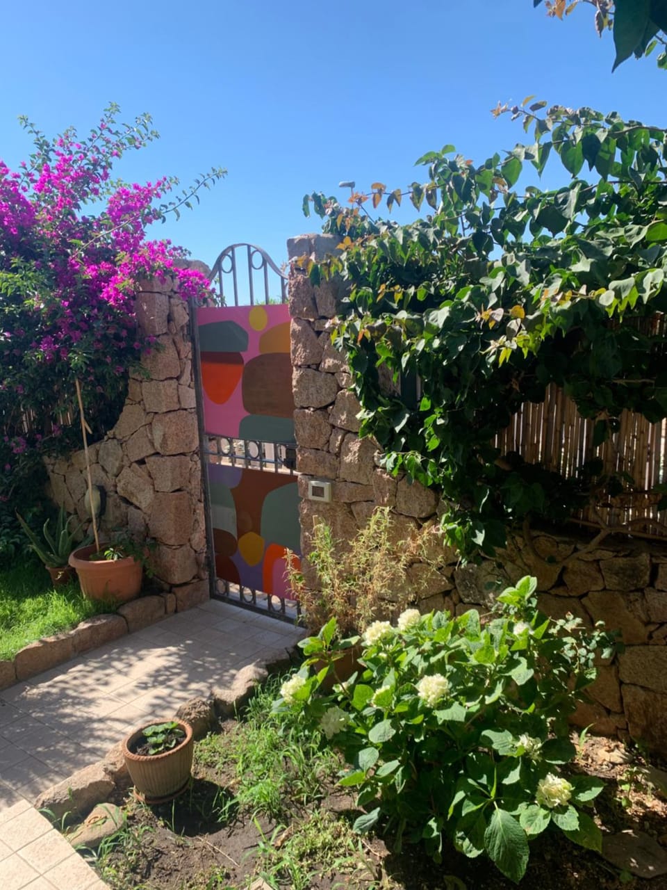 Garden