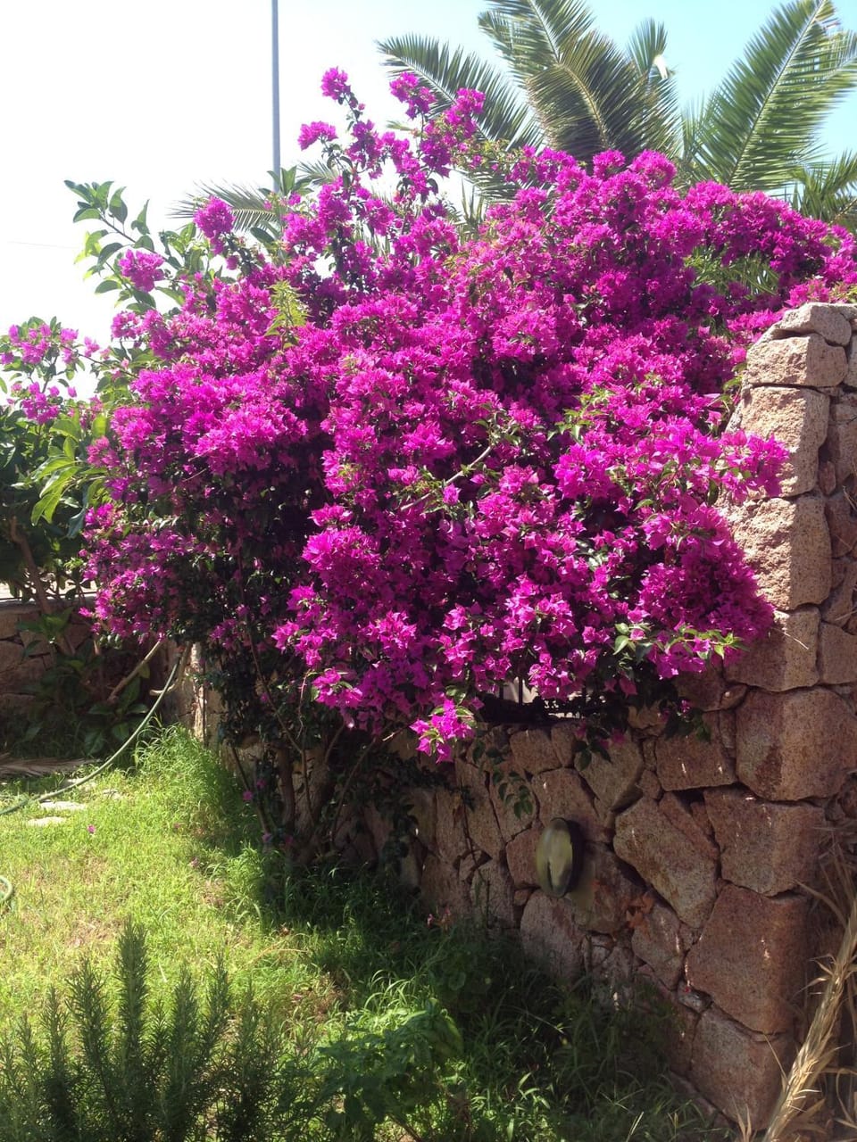 Stella Marina Apartment in Sardinia