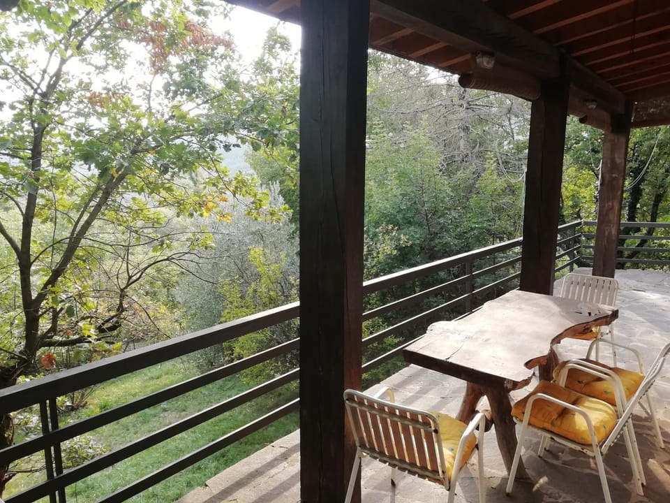 Patio, Balcony/Terrace, Garden view
