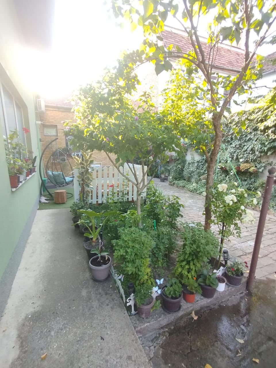 Apartman Lela Apartment in Vojvodina