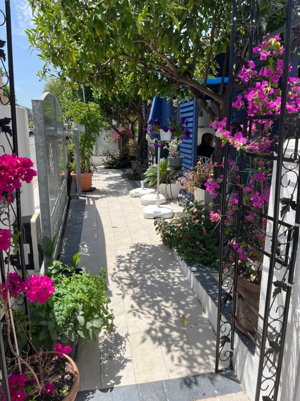 Wonderland Bed and Breakfast in San Teodoro