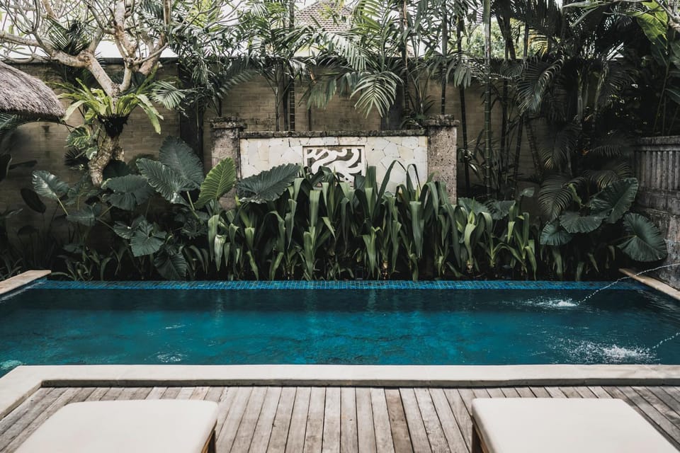 Garden, Garden view, Swimming pool