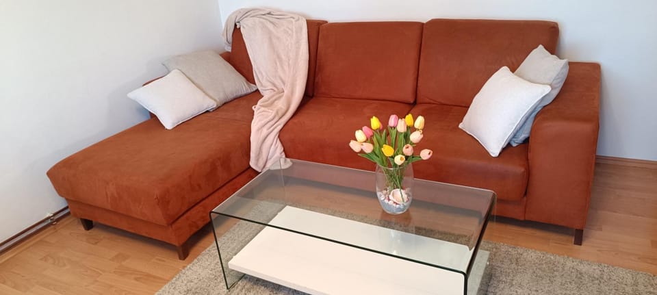 Apartman Petar Comfortable Apartment Apartment in Slavonski Brod