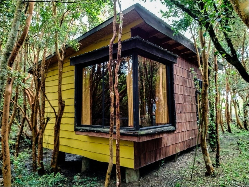 Cabañas Luna del Sur Cucao Apartment in Los Lagos, Chile