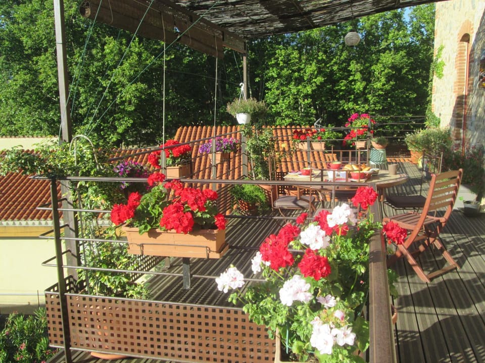 Spring, Day, Breakfast, Continental breakfast