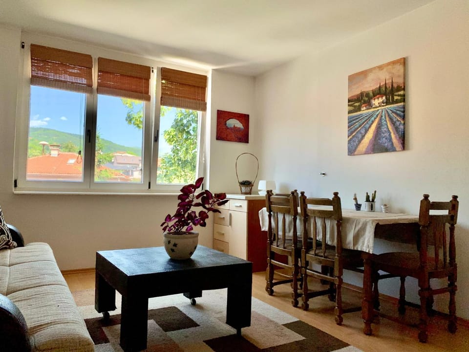 1BDR in City Center - Free Parking Apartment in Sarajevo