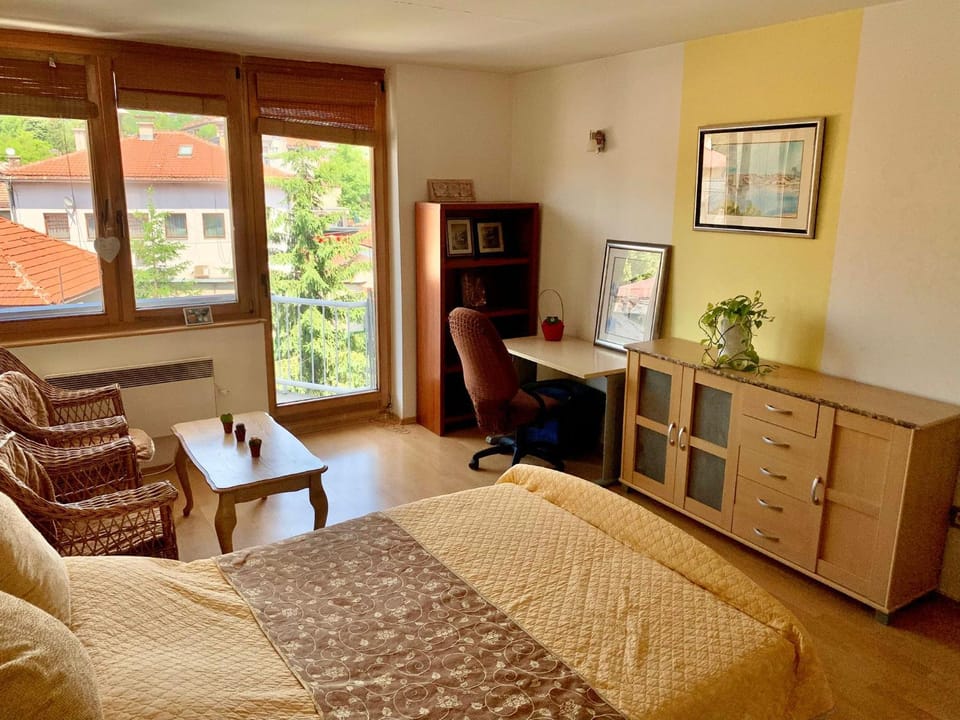 1BDR in City Center - Free Parking Apartment in Sarajevo