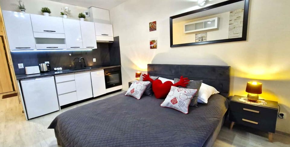 Cracow NOVUM Apartment Downtown 4 persons Apartment in Krakow
