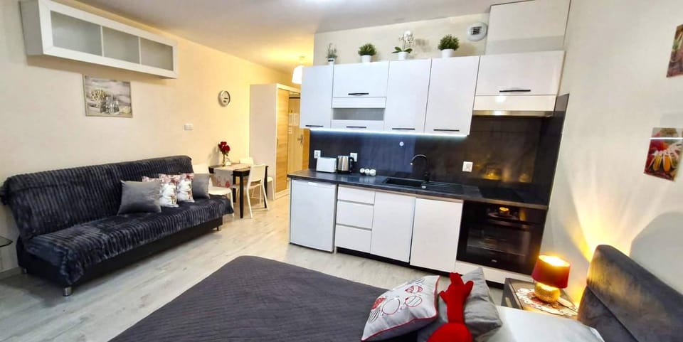 Cracow NOVUM Apartment Downtown 4 persons Apartment in Krakow
