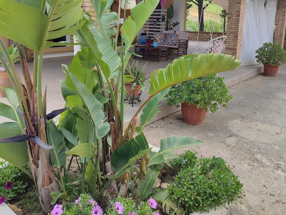 Dimora Virone Paradiso Apartment in Sicily