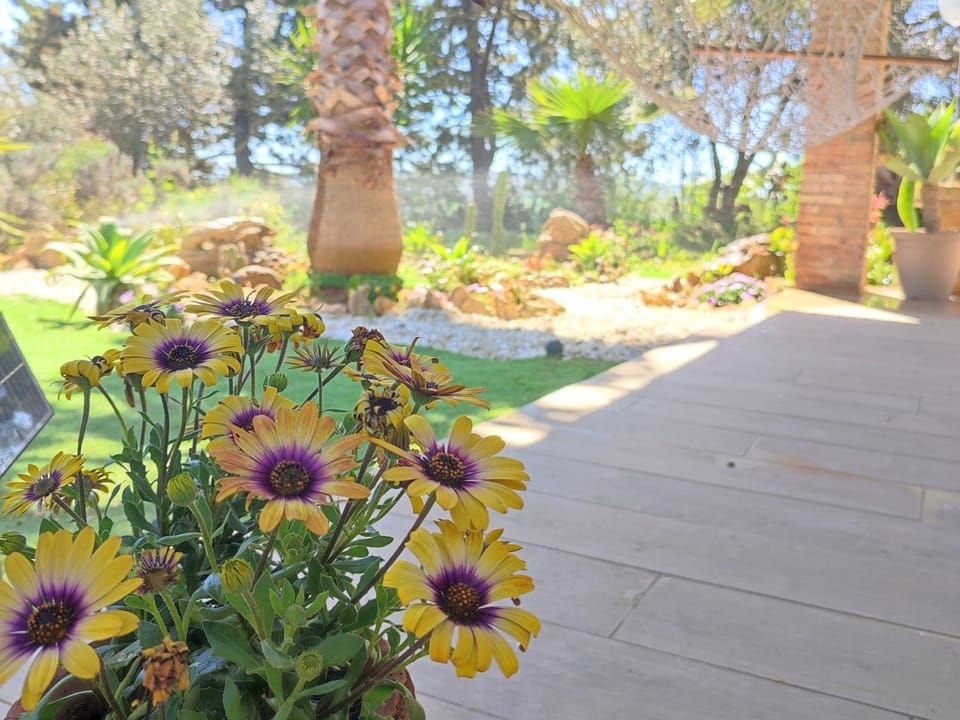 Dimora Virone Paradiso Apartment in Sicily
