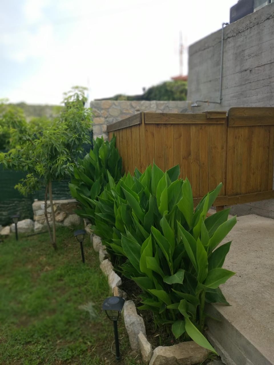 Palm Villa House in Thasos
