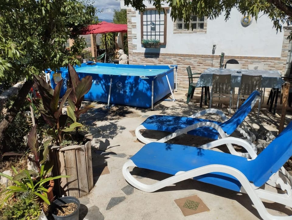Patio, Swimming pool, sunbed