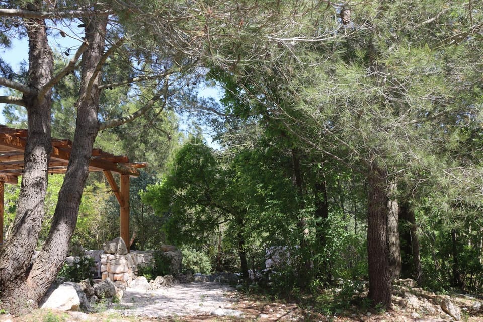 Trullo Sophie in Valle D'Itria SPA Country House in Province of Taranto