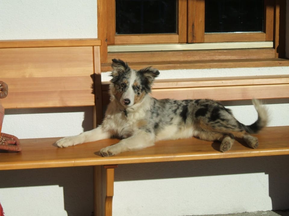 Schoenleithof Farm Stay in Tirol
