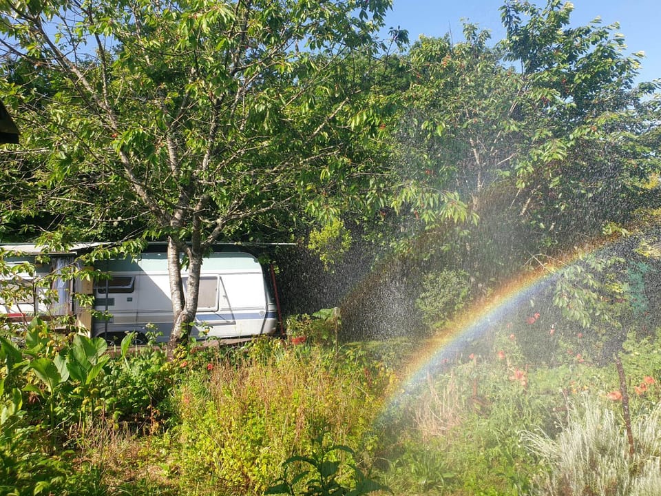 L'Hermitage au sein d'un jardin forêt près de l'océan Campground/ 
RV Resort in Mimizan