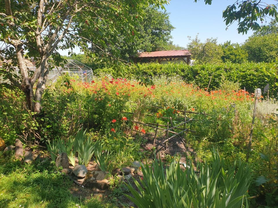 L'Hermitage au sein d'un jardin forêt près de l'océan Campground/ 
RV Resort in Mimizan