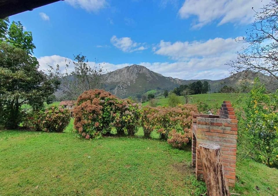 BBQ facilities, Garden, Garden view