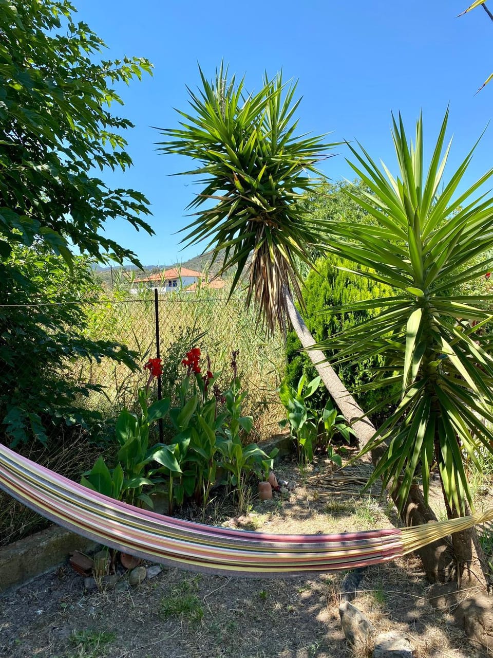 Inner courtyard view