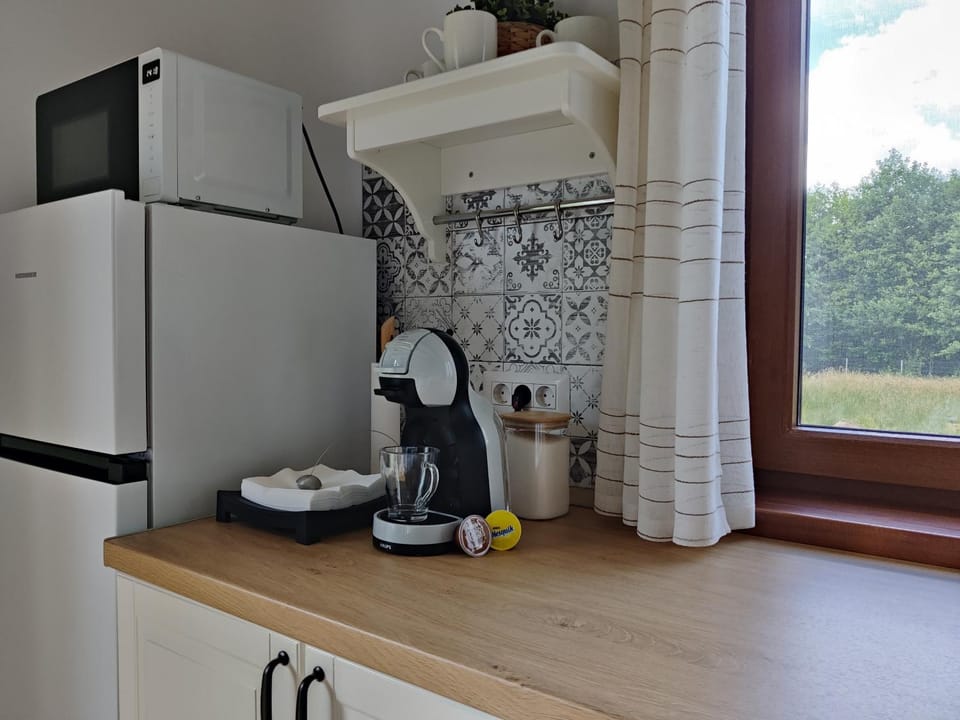 Coffee/tea facilities, Kitchen or kitchenette, minibar, stove