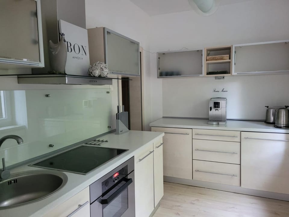 Lux apartament Chodzież, ul Zwycięstwa 13 Apartment in Greater Poland Voivodeship