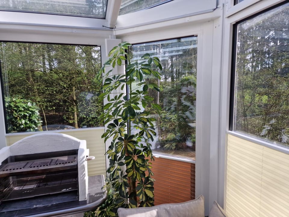 Summer, Garden, View (from property/room), Living room, Garden view