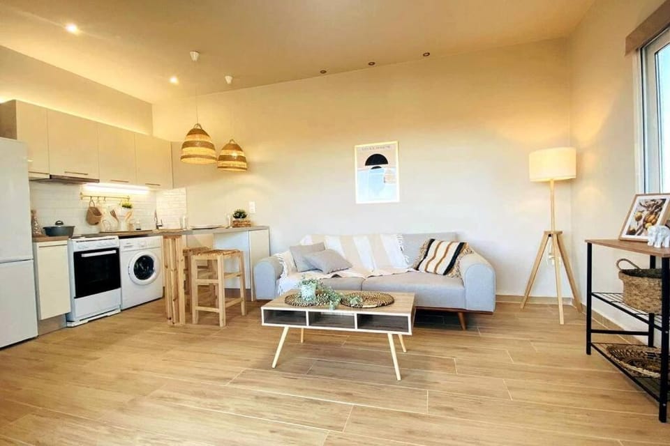 Kitchen or kitchenette, Living room, Seating area, pet friendly, stove, washing machine