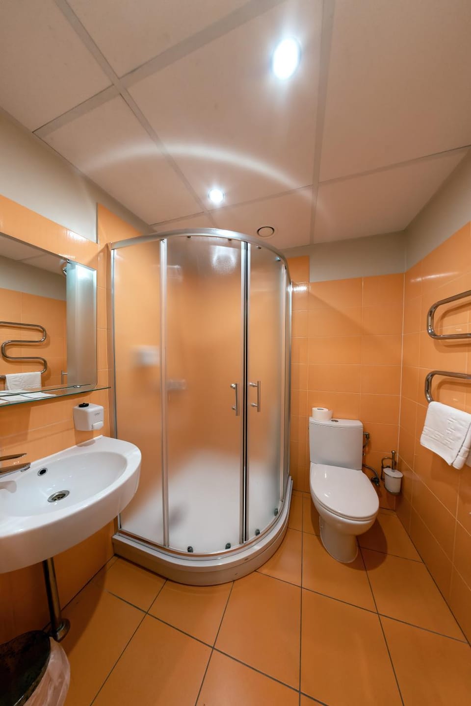 Shower, Toilet, Bathroom, towels