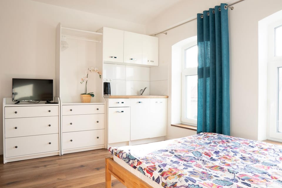 Bed, TV and multimedia, Kitchen or kitchenette, Photo of the whole room, Bedroom, wardrobe