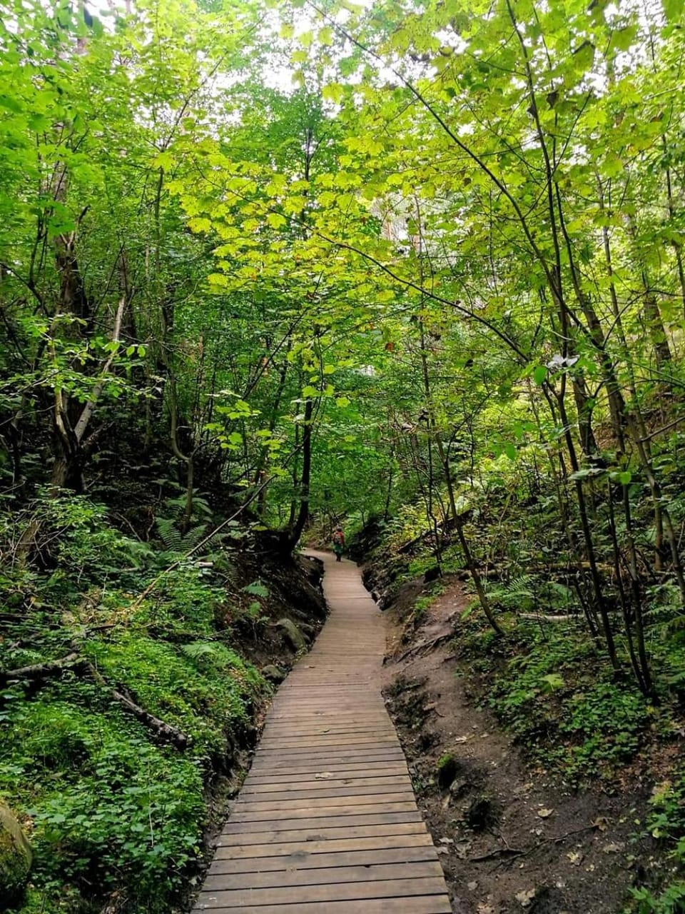 Nearby landmark, Natural landscape