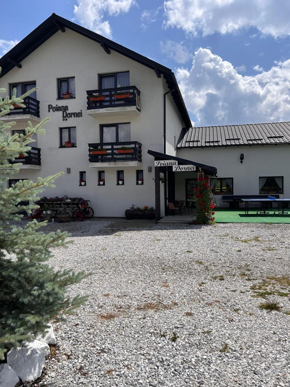 Pensiunea Poiana Dornei Bed and Breakfast in Romania