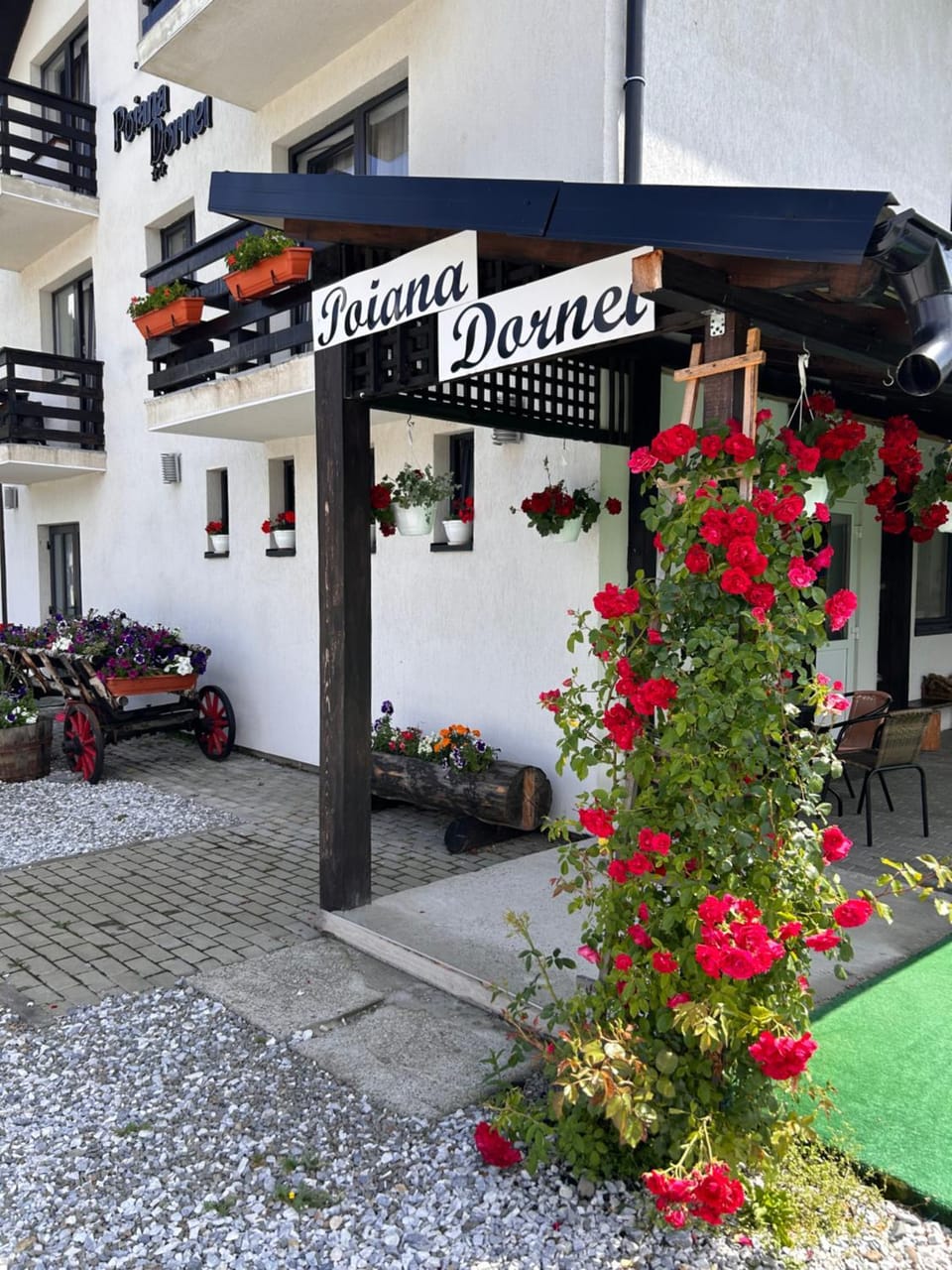 Pensiunea Poiana Dornei Bed and Breakfast in Romania