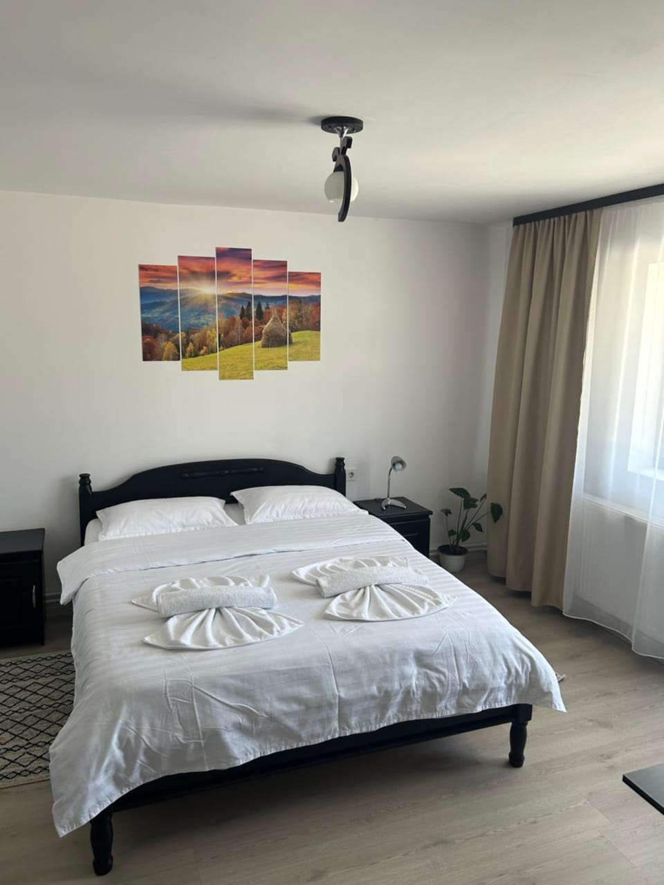 Pensiunea Poiana Dornei Bed and Breakfast in Romania