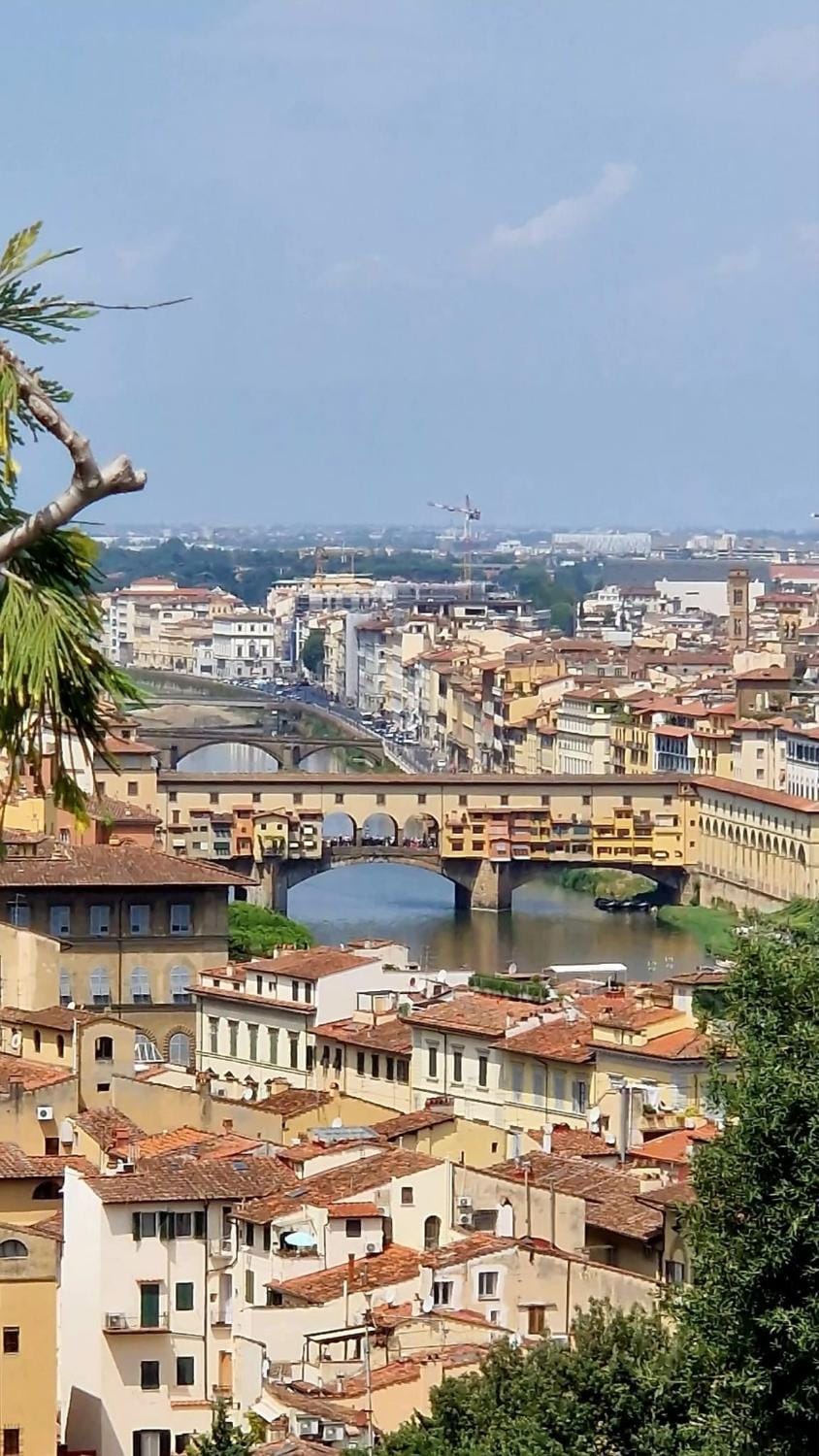 FLORENCE GIANNOTTI HOME Apartment in Florence