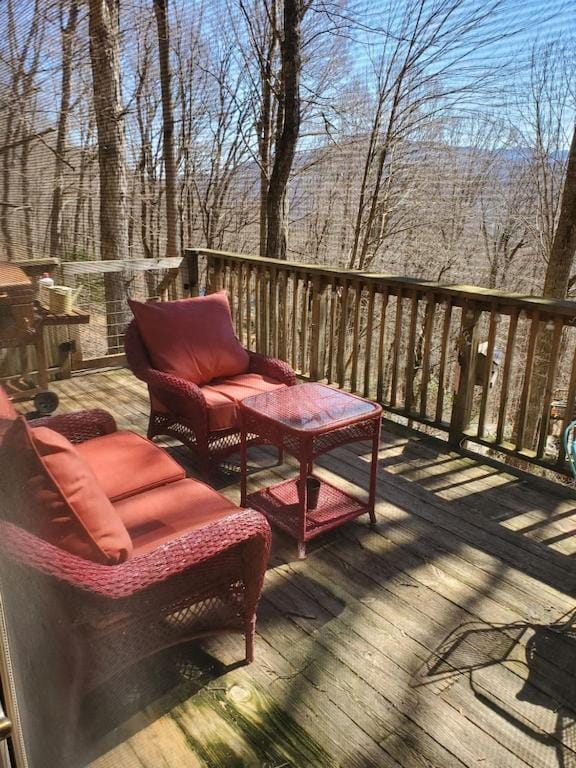 Treehouse Cathedral in Blue Ridge Mountains, NC House in Burnsville