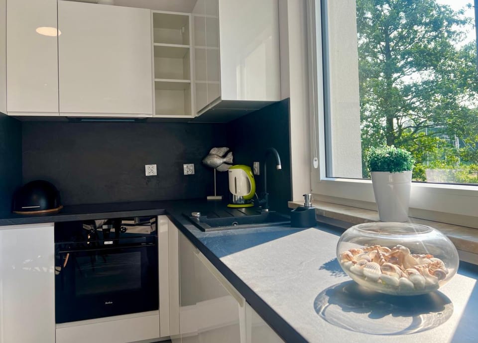 Kitchen or kitchenette, dishwasher, stove