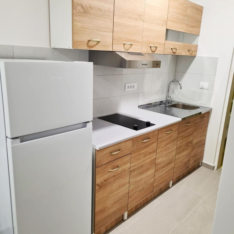 Apartman Vasilije Apartment in Kotor Municipality