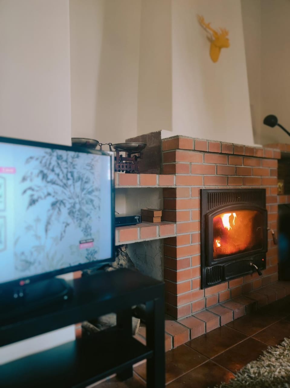 Communal lounge/ TV room, fireplace
