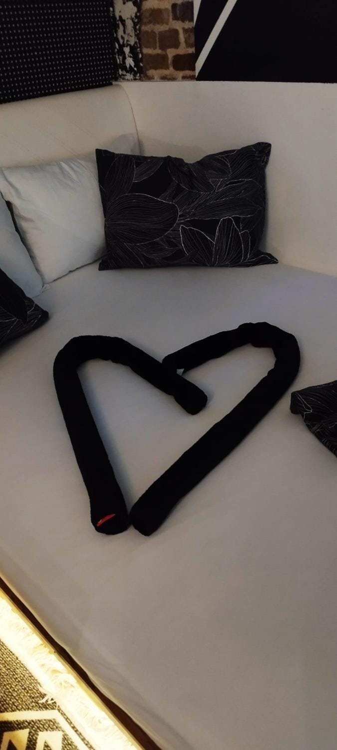 Studio Apartman Black & White Centar Sarajevo free parking Apartment in Sarajevo