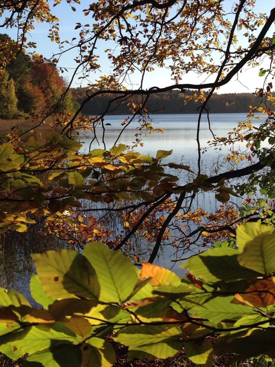 Natural landscape